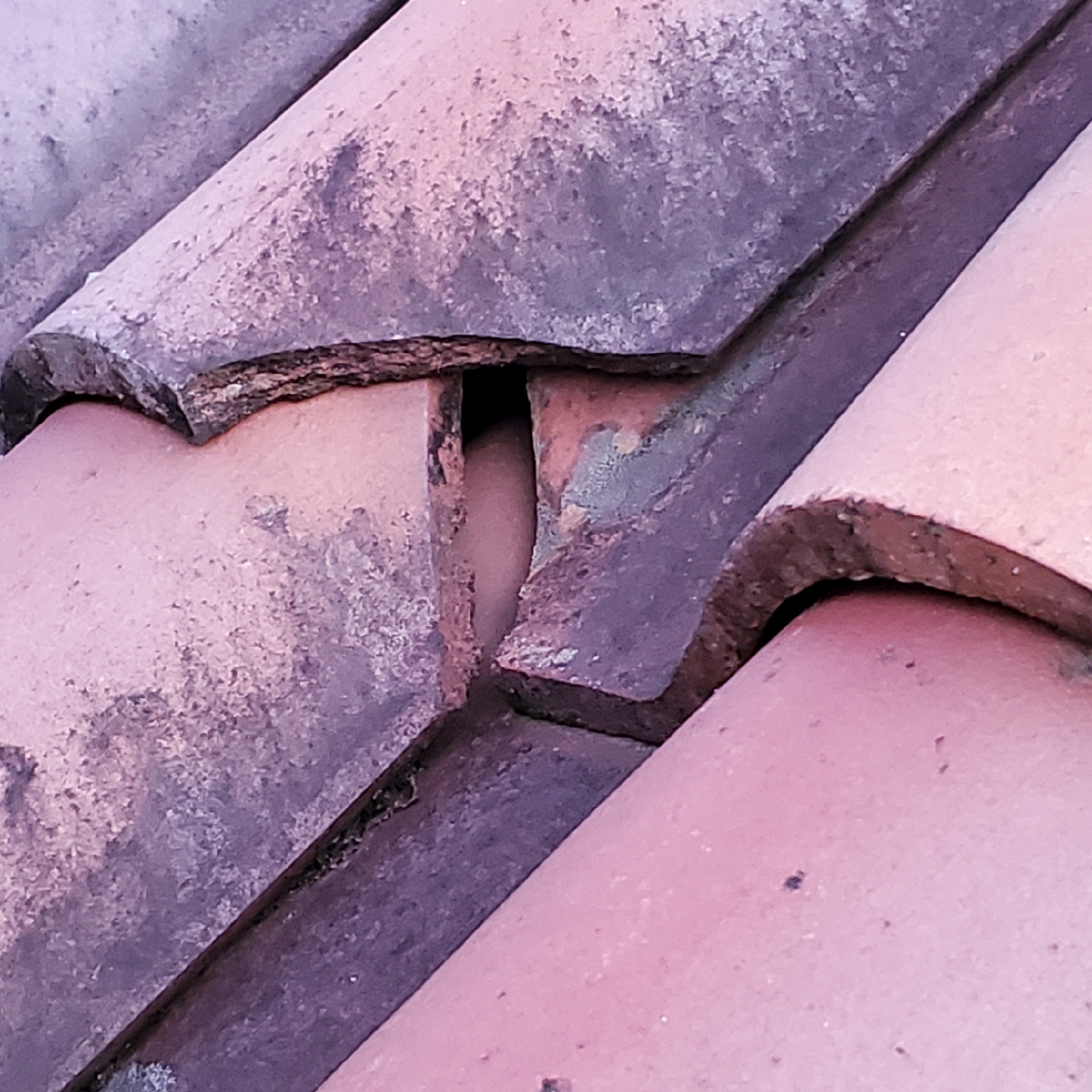 Tile Roofs Mag Selva Inc.